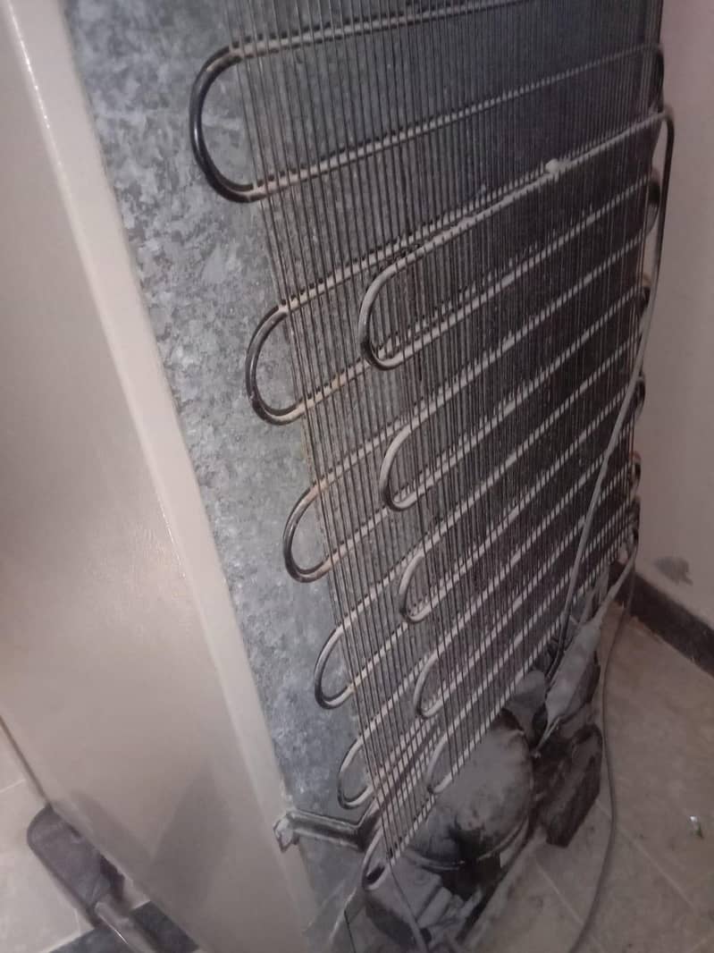 dawlanace refrigrator 4