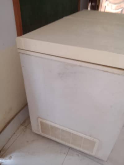 wave d frizer