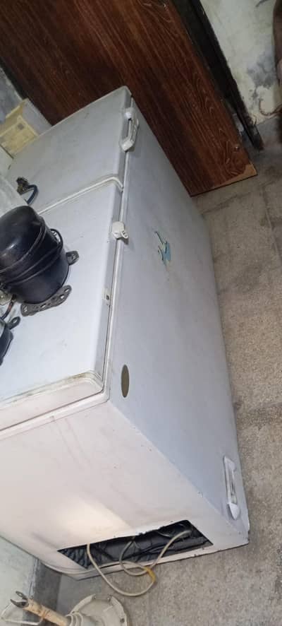 waves freezer large size freezer 100% ok