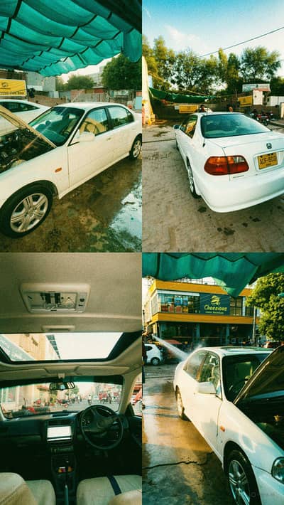Honda civic vit orial