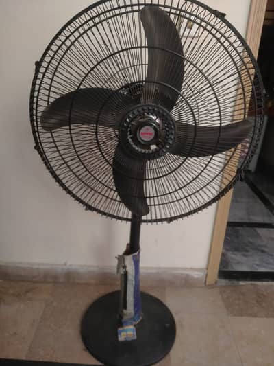 Brand new Fan