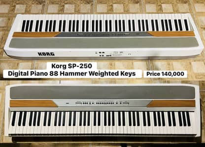 Korg SP-250 Digital Piano 88 Hammer weighted keys / Keyboard / Amp