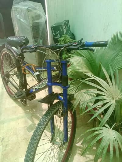 12 Springs Sport Cycle