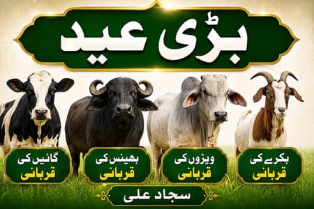 Qasai