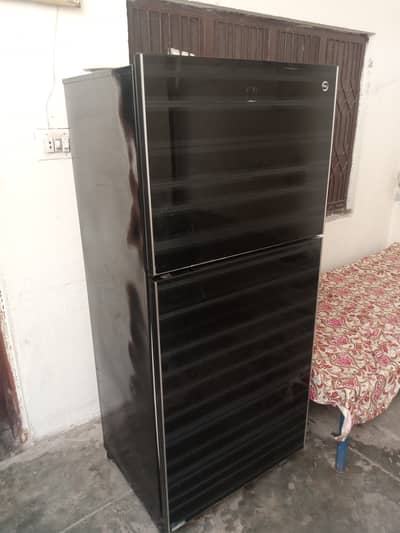 PEL Glass Fridge for Sale