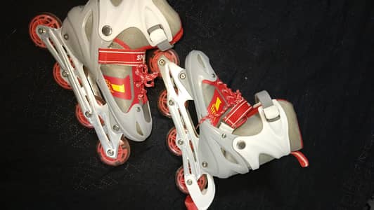 Skating Shoes