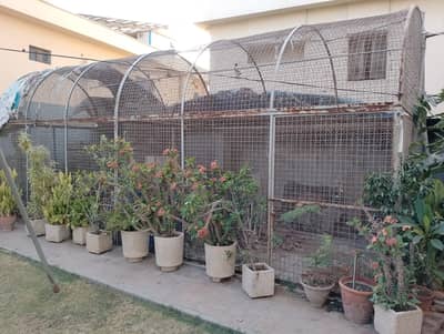 Master Cage (24ft x 8ft x 10ft) Rs. 90000/- . 2 portions, 2 gates