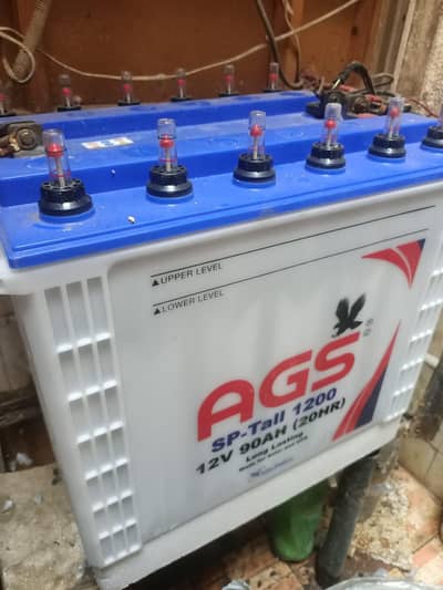 ags battery pair 6 months used