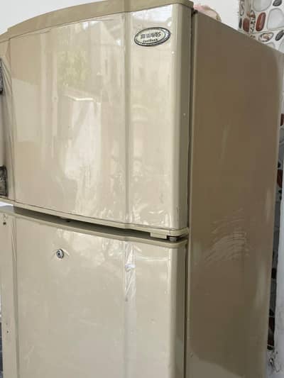 waves fridge