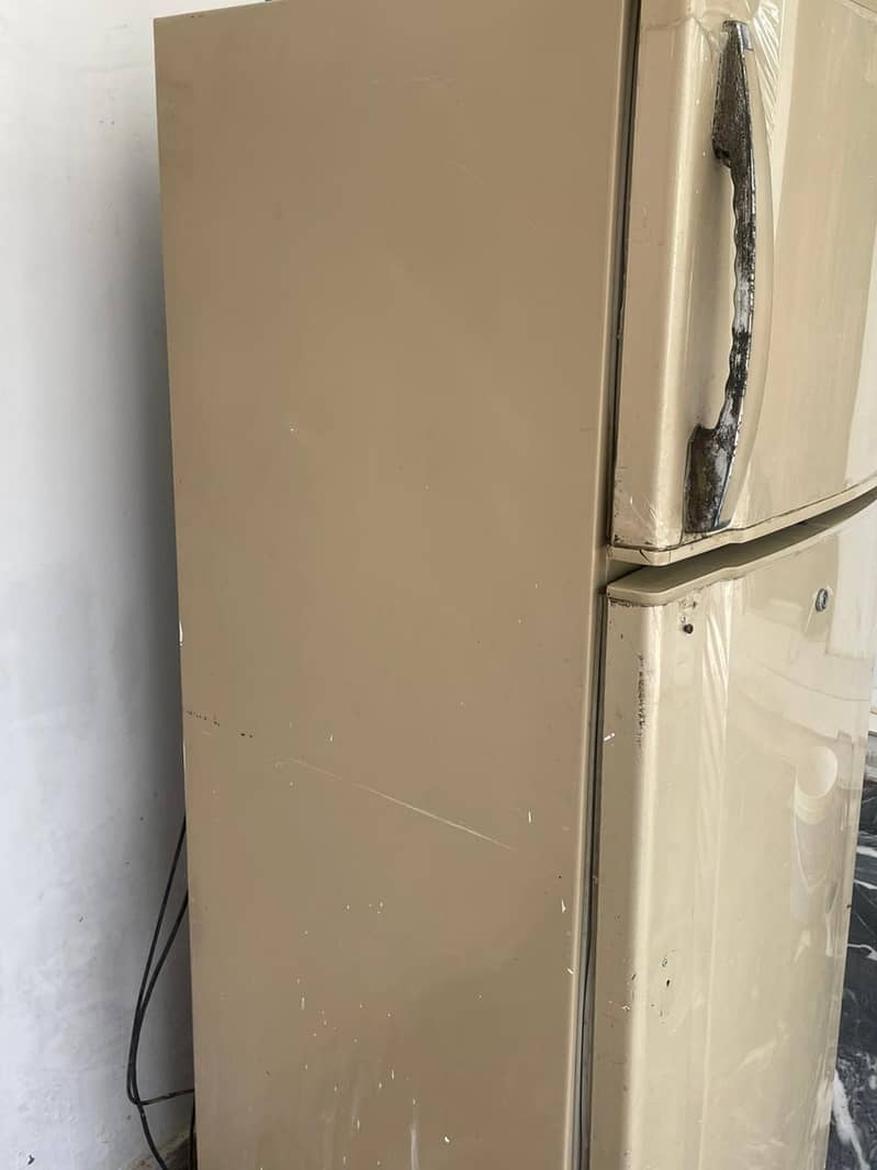 waves fridge 1