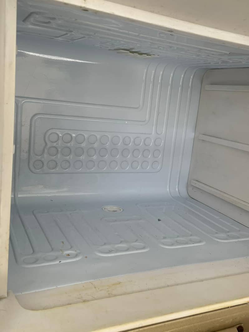 waves fridge 3