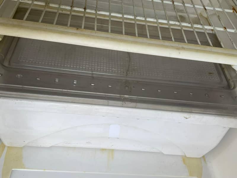 waves fridge 5