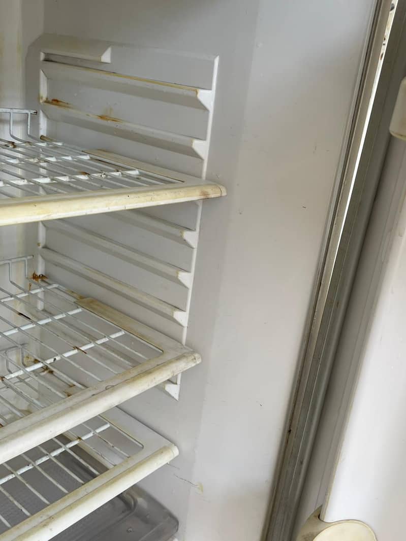 waves fridge 7