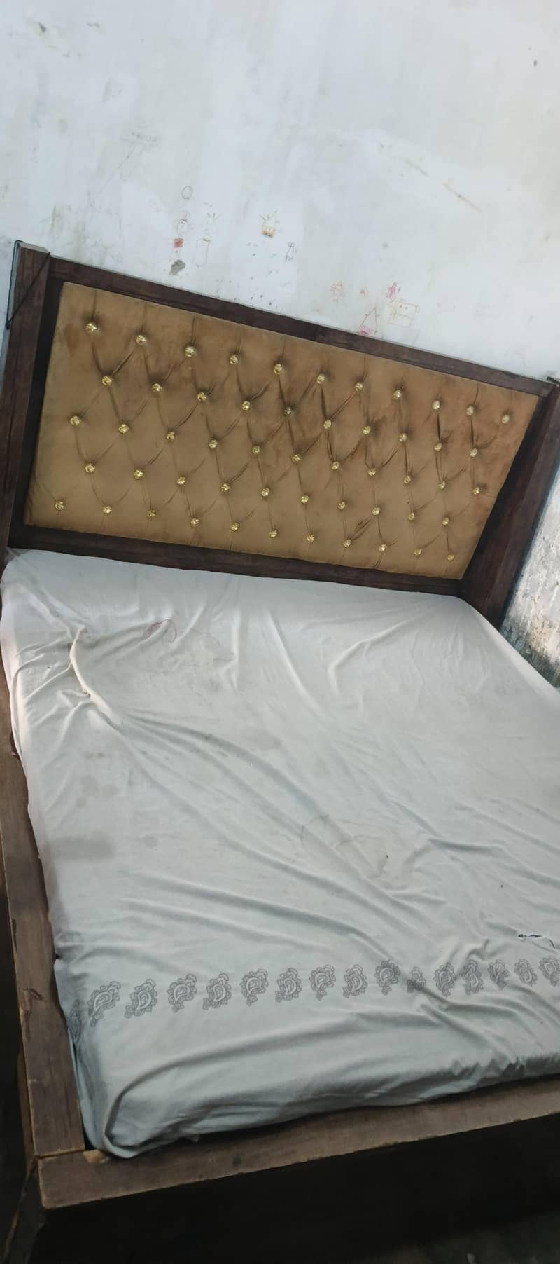 only bed 1