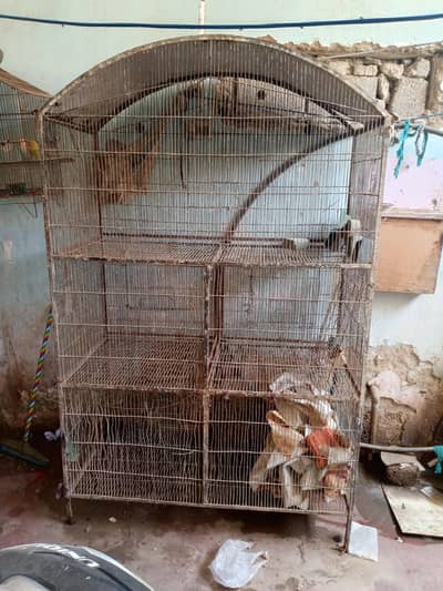 heavy iron cage