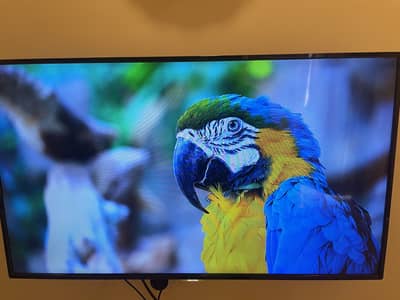 Akira 43” HD LED TV + H96K Max 6 Ultra Android TV Box Bundle