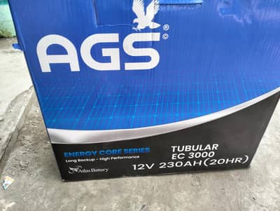 New AGS tubular battery