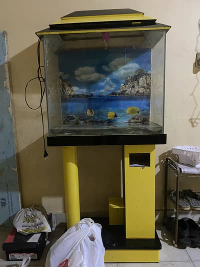 Aquarium With Fishes