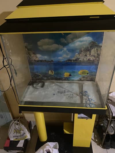 Aquarium With Fishes