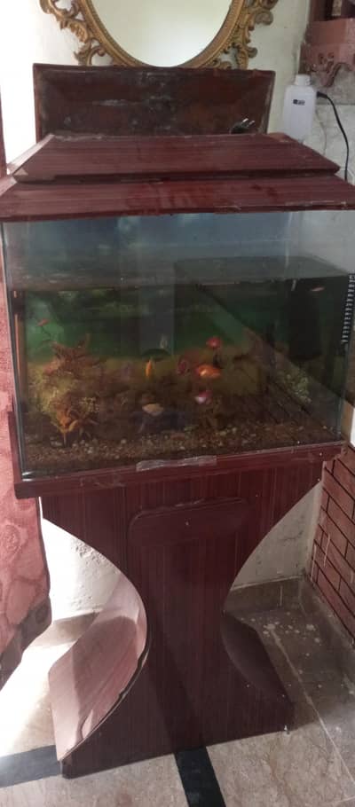 Aquarium with Hood and Stand & All Fishes
