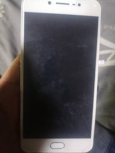 03310429244