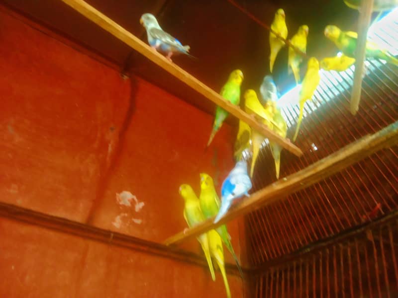 undefined 1