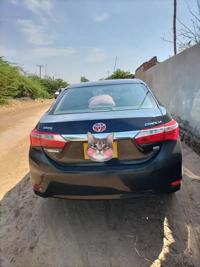Toyota Corolla GLI 2016
