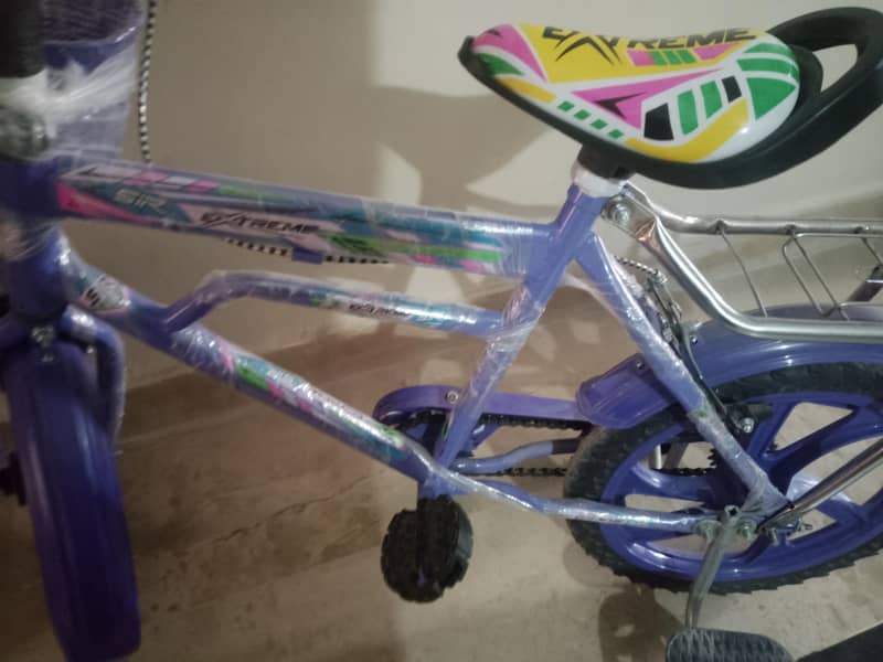 bicycle 1