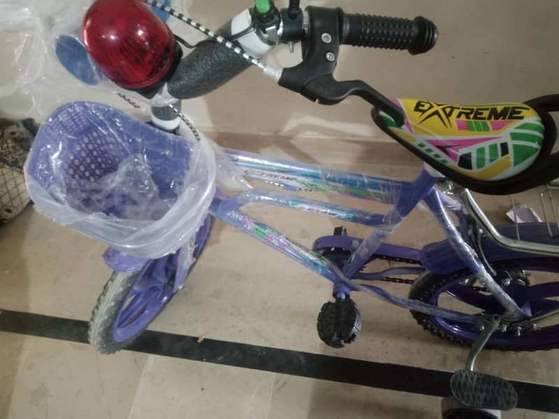 bicycle 2