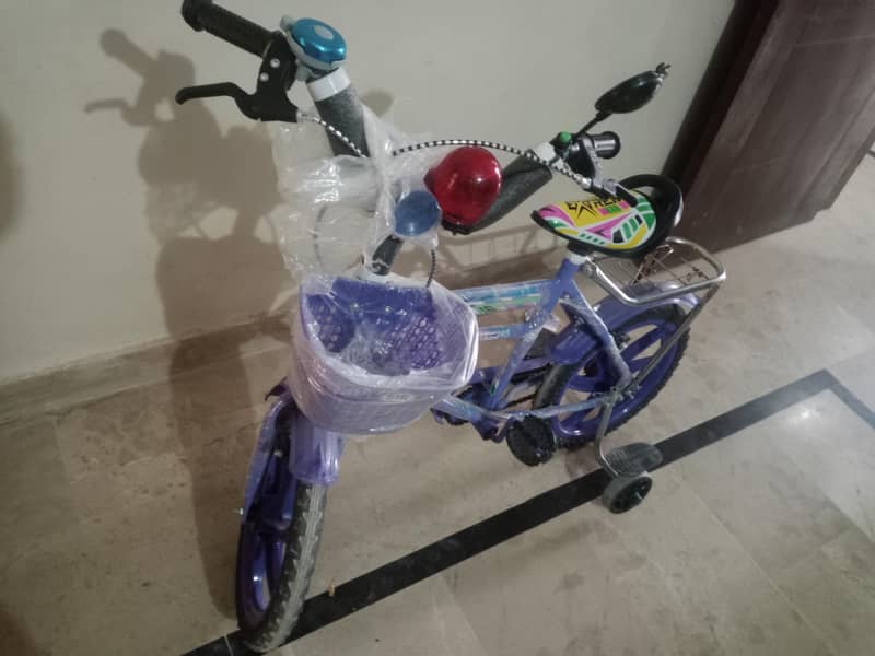 bicycle 4