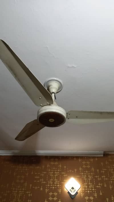 Sk fan 56 inch simple
