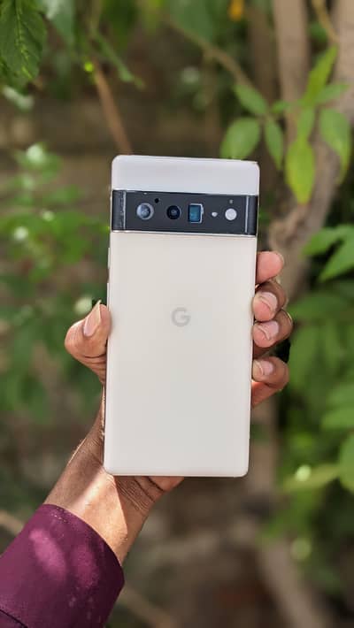 google pixel 6pro