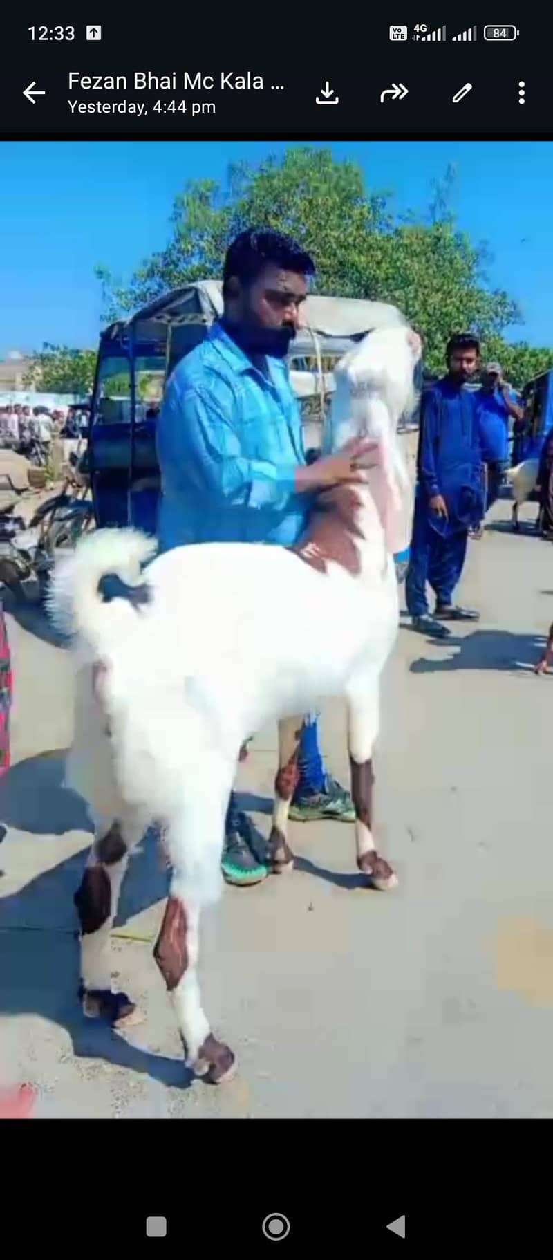 big bakra 2