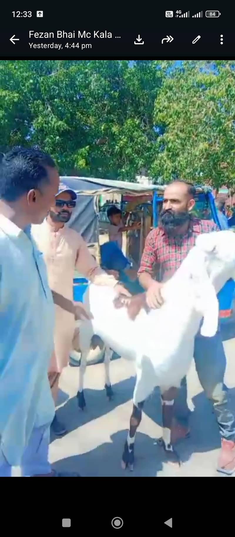 big bakra 3