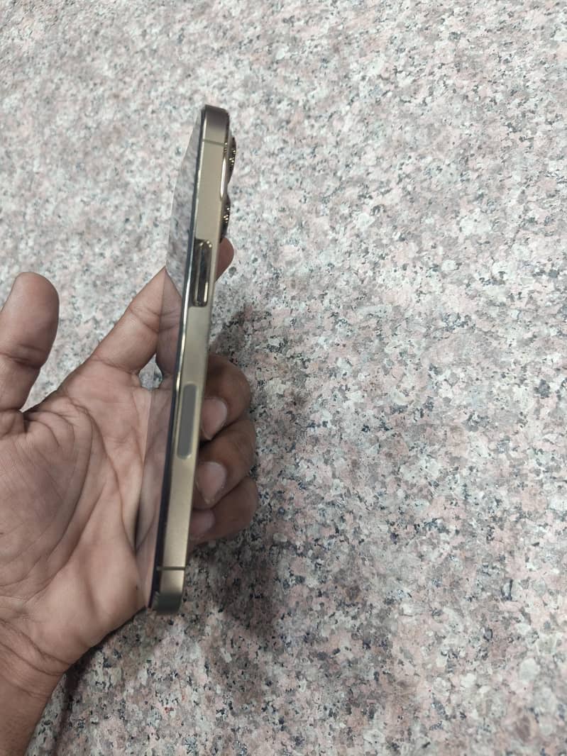 iphone 13 Pro 1