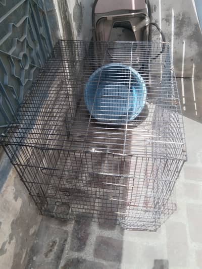 Cage for hen or parrots