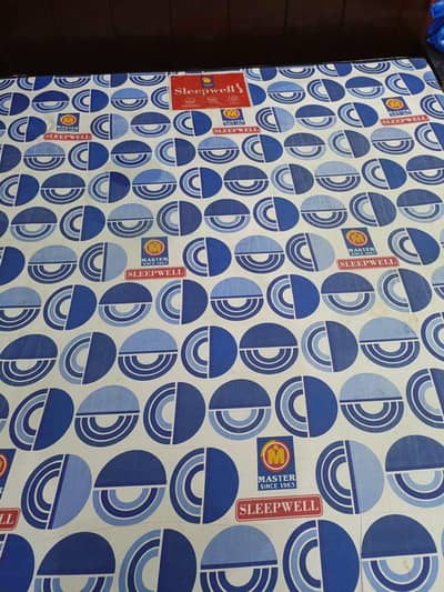Master MoltyFoam Sleep Well Mattress 8 Inches