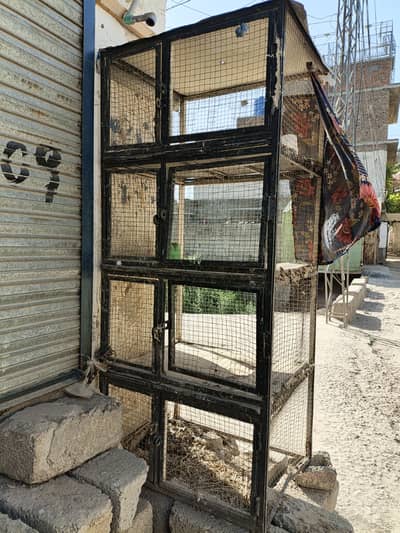 birds cage 