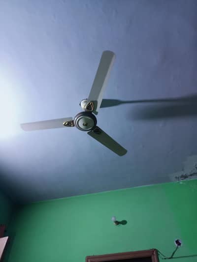 SUPER ASIA FAN