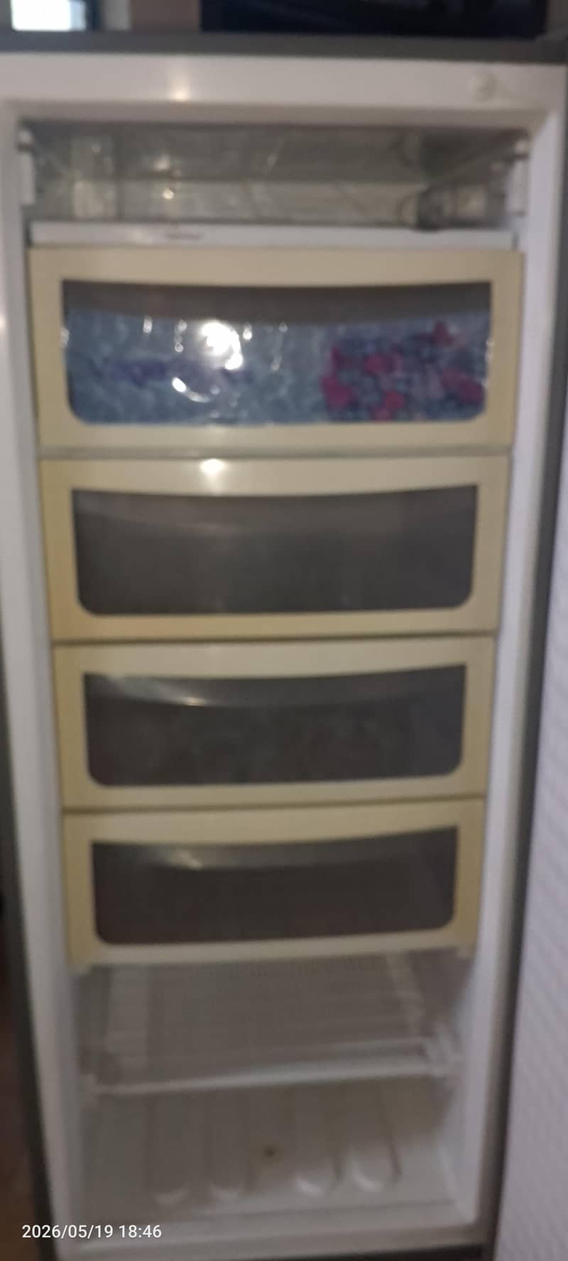 Vertical Freezer 2