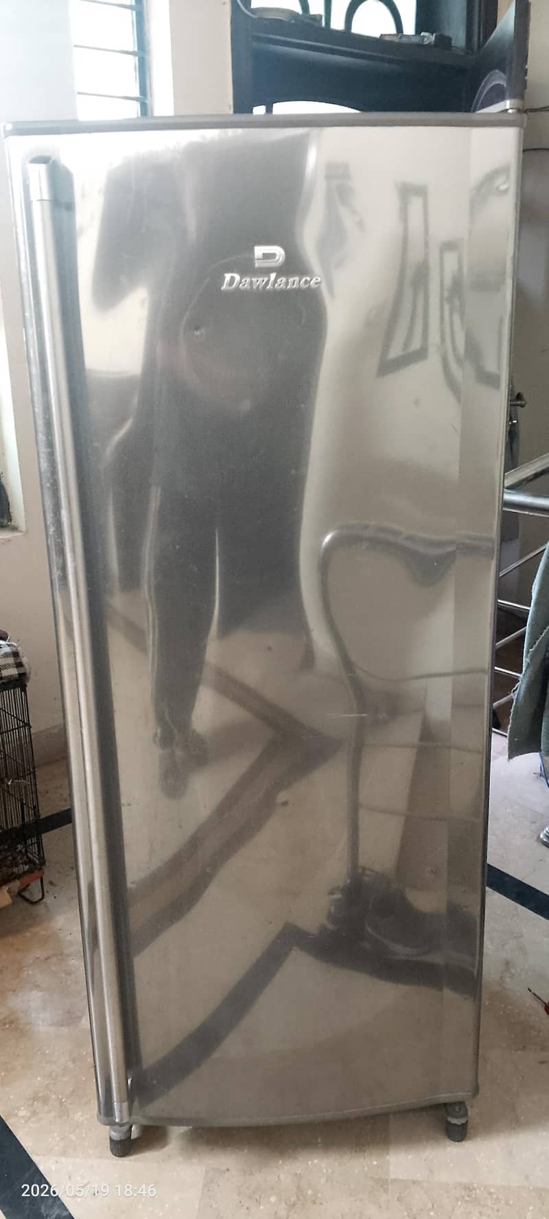 Vertical Freezer 3