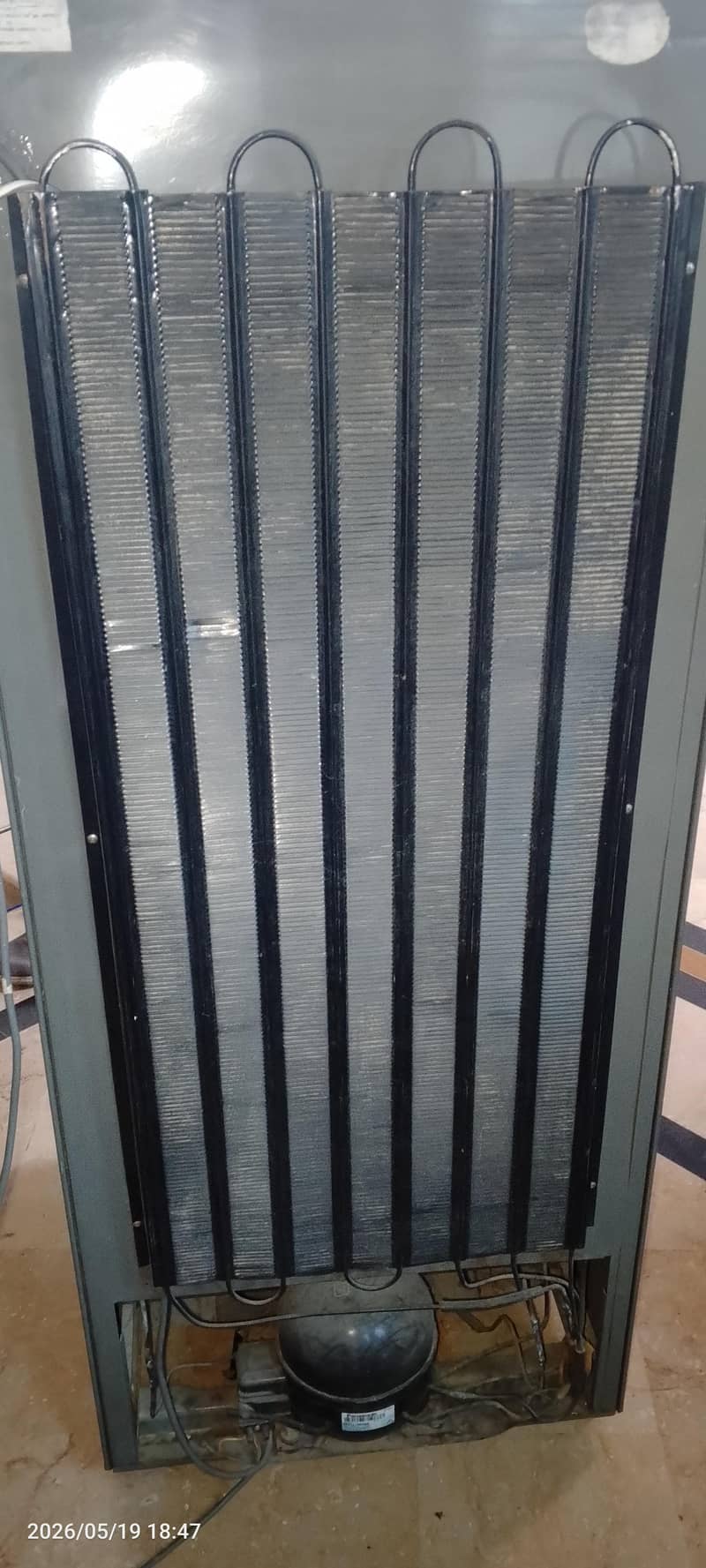 Vertical Freezer 4