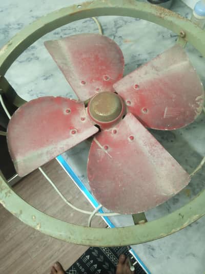 Large size Fan