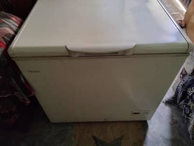 Hair deepfreezer single door