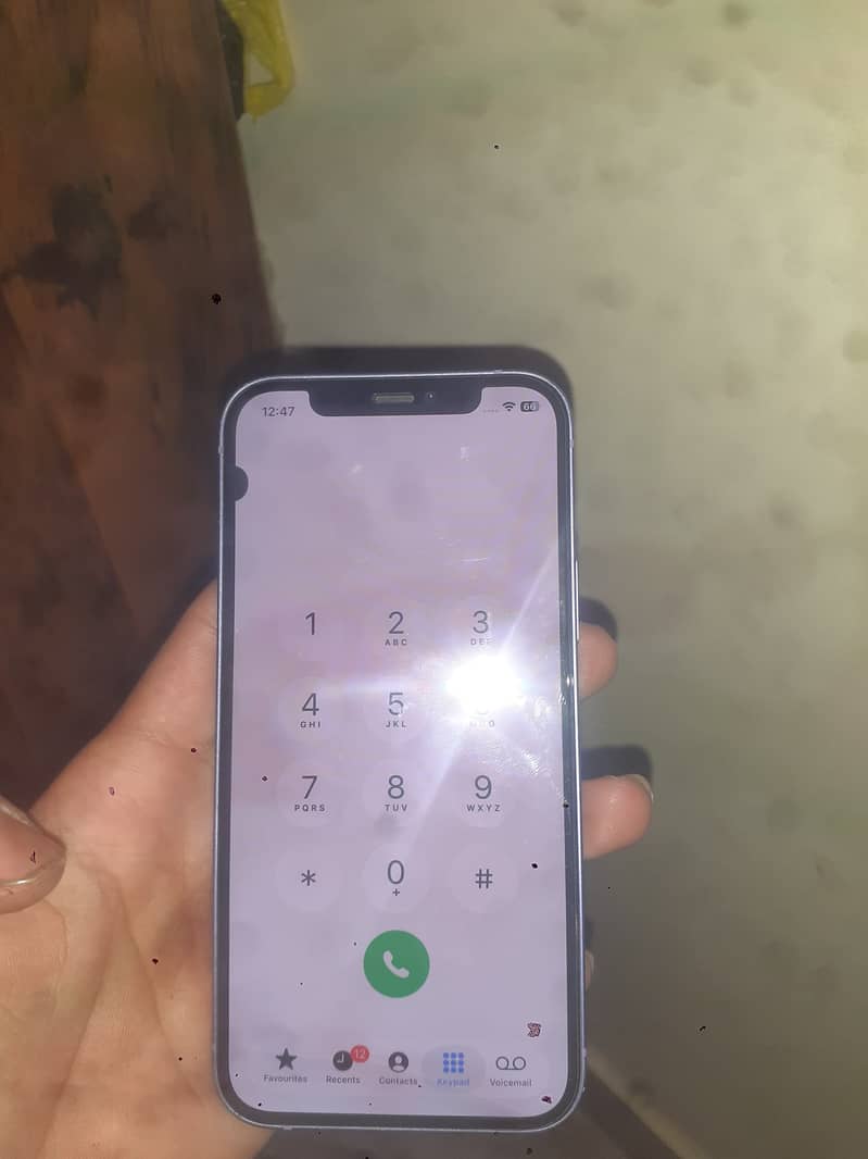 iPhone 12 1