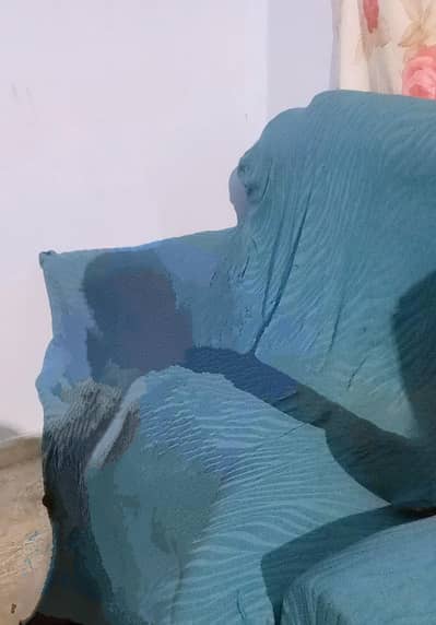 sofa with zebra cover