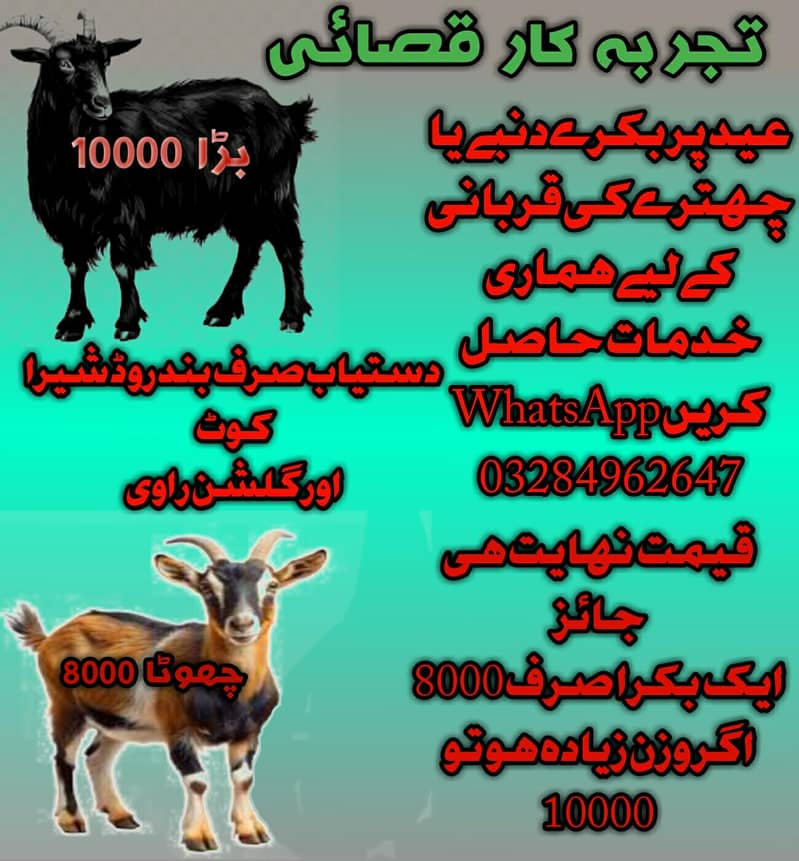 قصائی بکرے ذبح کروانے کے لیے 0