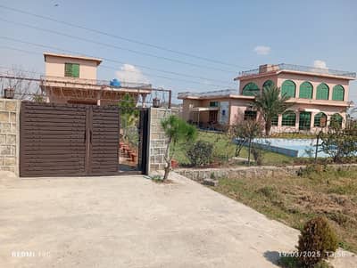 A Residential Farm House (Total Area 86 Kanal) Available For Sale