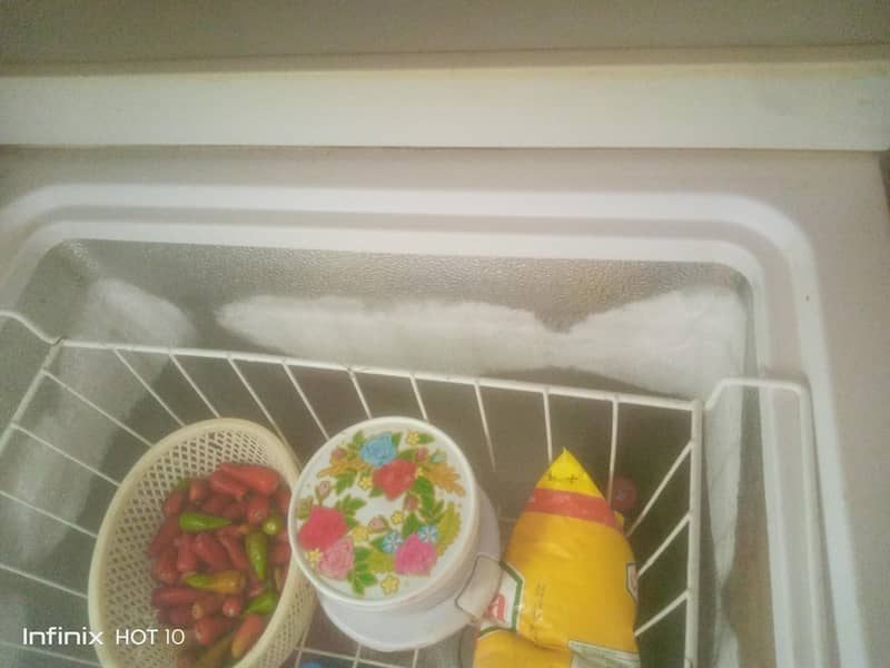 d freezer 3