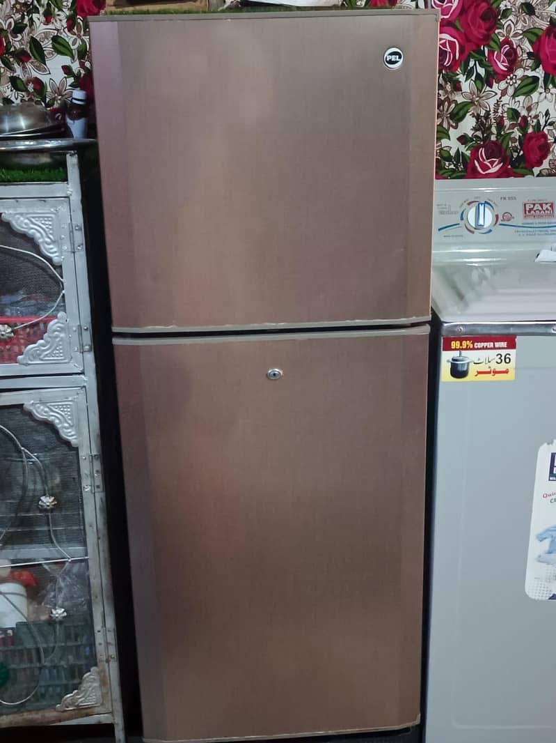 pel fridge 1